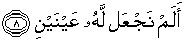 Quran english Al Balad 8