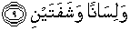 Quran english Al Balad 9