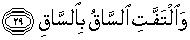 Quran english Al Qiyamah 29