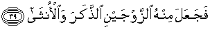 Quran english Al Qiyamah 39