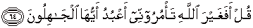 Quran english Az Zumar 64