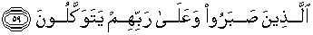 quran image Al 'Ankabut59